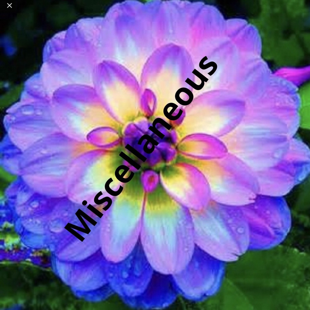 Miscellaneous Items - image 1